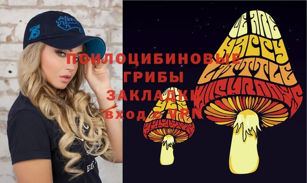 гашик Абдулино