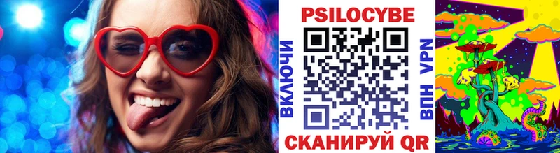 закладки  Кострома  Псилоцибиновые грибы Magic Shrooms 